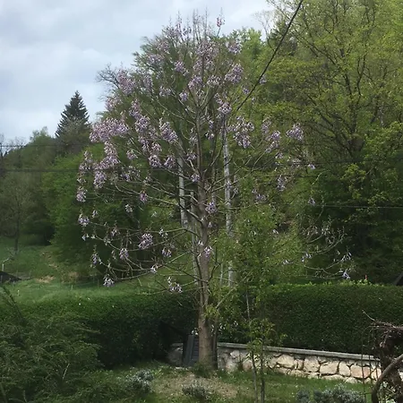 Marla Апартаменты Hrusica (Jesenice)