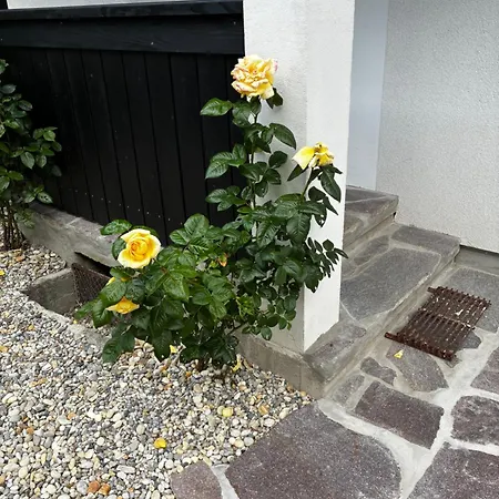 Marla Apartmán