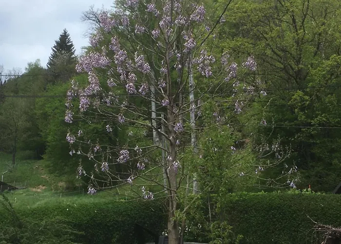 Marla Apartment Hrušica